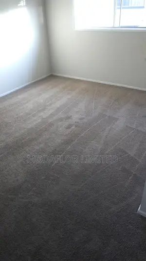 Modern Wall to Wall Carpet – Office and Apartment Use