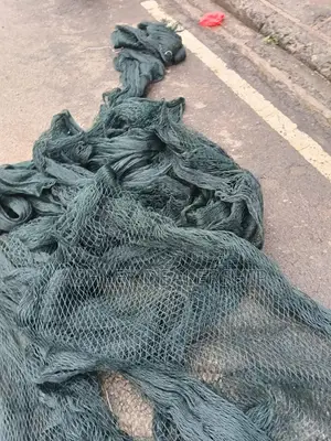 Top Sellers Bird Net