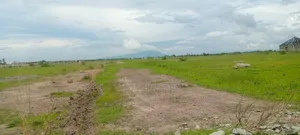 50/100 Plot Title Deed Ready Mwalimu Farm Phr3 Call for Direct