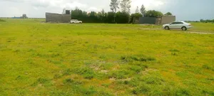 50/100 Plot Title Deed Ready Mwalimu Farm Phr3 Call for Direct
