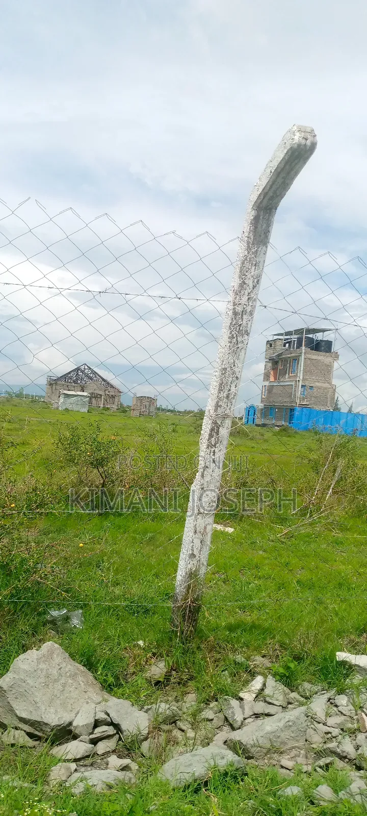 50/100 Plot Title Deed Ready Mwalimu Farm Phr3 Call for Direct