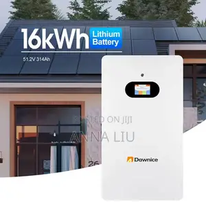 Dawnice 16kwh 51.2v 314ah Smart Wall-Mount Battery