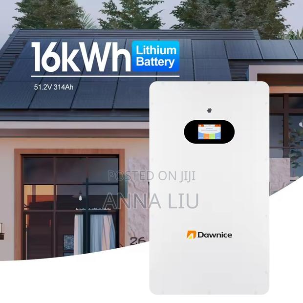 Dawnice 16kwh 51.2v 314ah Smart Wall-Mount Battery