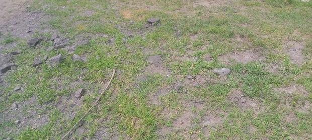 50/100 Plot Title Deed Ready Mwalimu Farm Phr3 Call for Direct - thumbnail 8