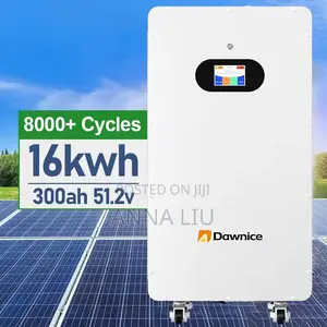 16kwh 51.2v 314ah Dawnice Lithium Energy Storage