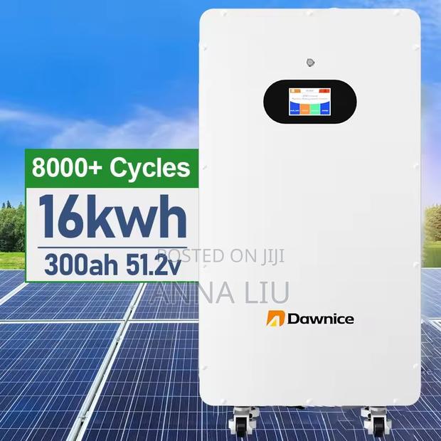 16kwh 51.2v 314ah Dawnice Lithium Energy Storage