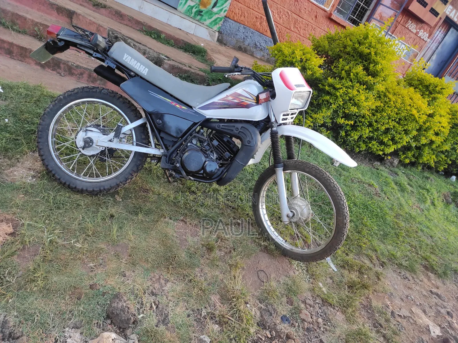 Yamaha DT175 2014 White
