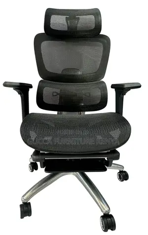Executive Orthopedic Full Mesh Seat With Footrest
