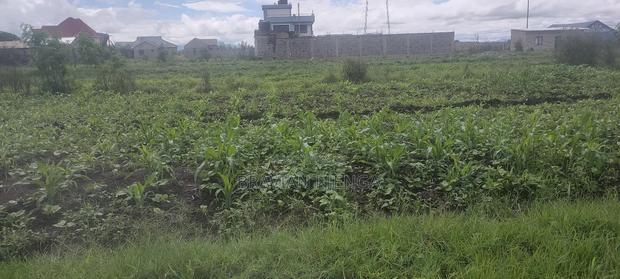 Land for Sale 80*100
