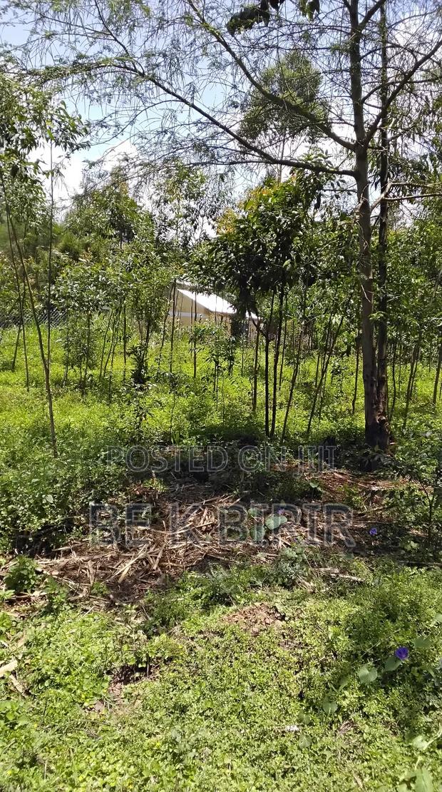 Land for Sale - thumbnail 5