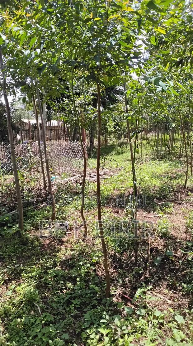 Land for Sale - thumbnail 8