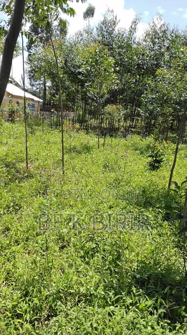 Land for Sale - thumbnail 10
