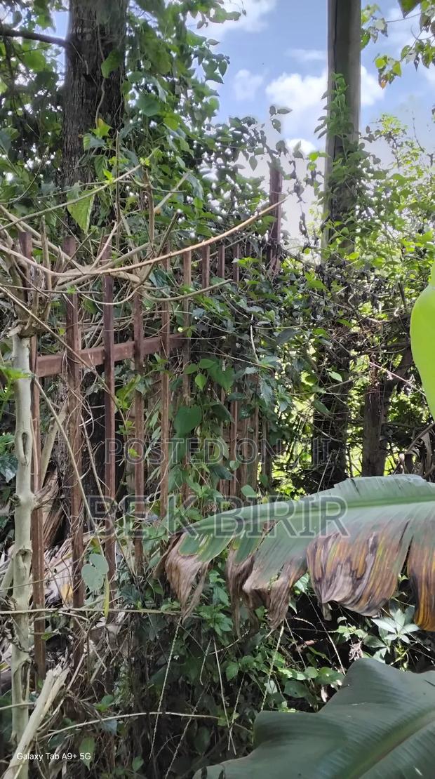 Land for Sale - thumbnail 12