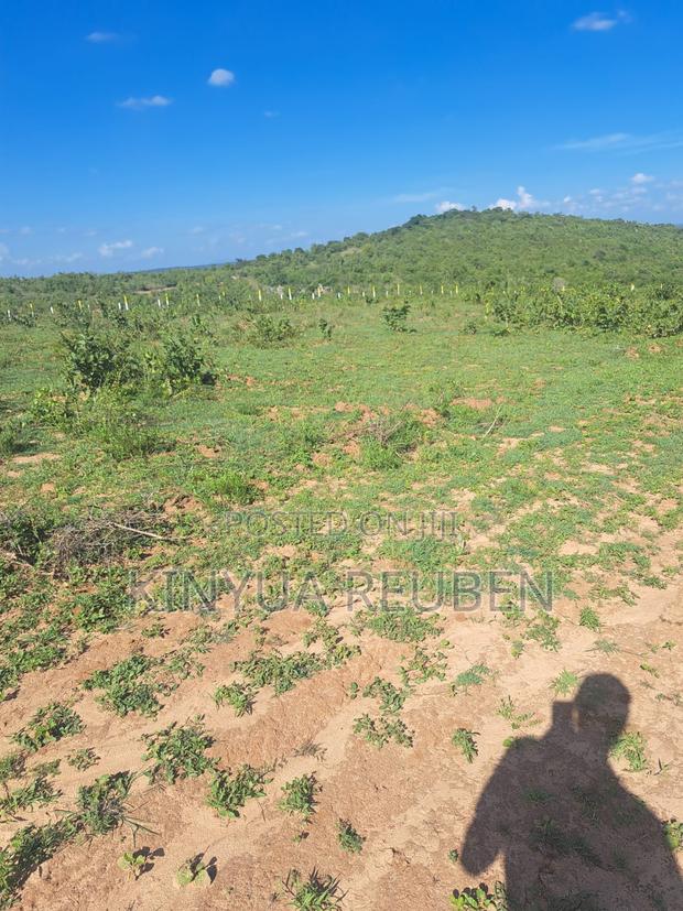 Prime 1/8 Acre Plot – Only 200m From Tarmac (Makuyu Mananja) - thumbnail 2