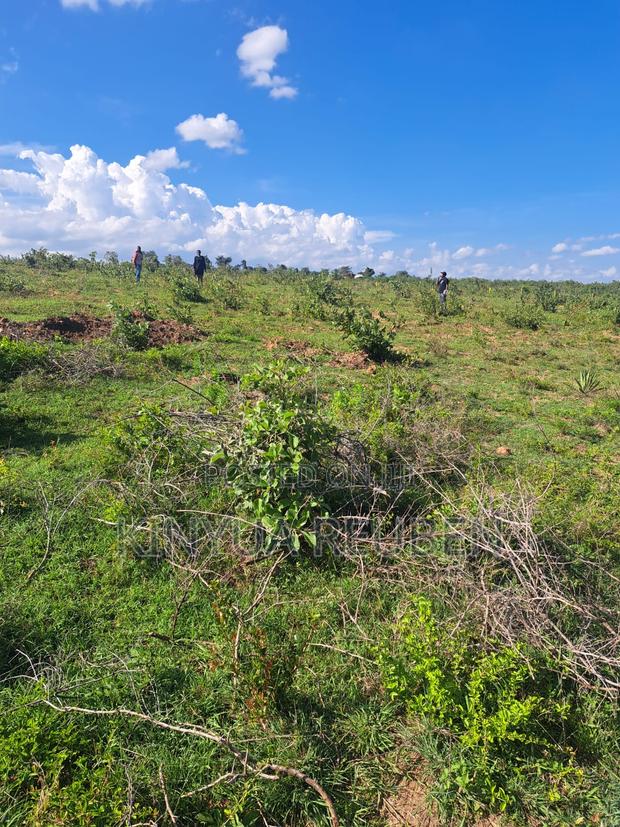Prime 1/8 Acre Plot – Only 200m From Tarmac (Makuyu Mananja) - thumbnail 3