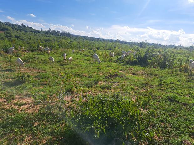 Prime 1/8 Acre Plot – Only 200m From Tarmac (Makuyu Mananja) - thumbnail 4