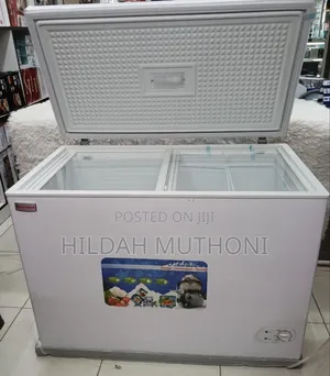 Premier Deep Freezer 100 Litres