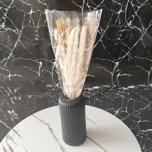 A Bunch of Pampas Grass