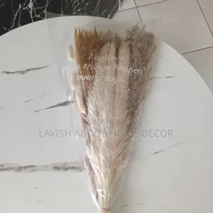 A Bunch of Pampas Grass