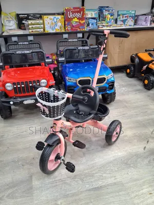 Trisky 3 Wheeled Tricycle For Toddlers