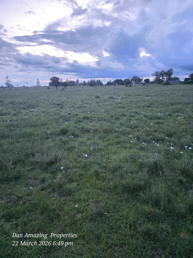 48 Acres Piece of Land Isinya for Sale 650mts From the Tarmac