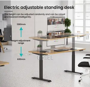 Office Desk : 1.4m Office Height Adjustable Electric Standing Desk