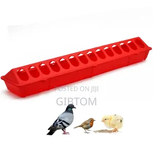 Rectangular Chick Feeder