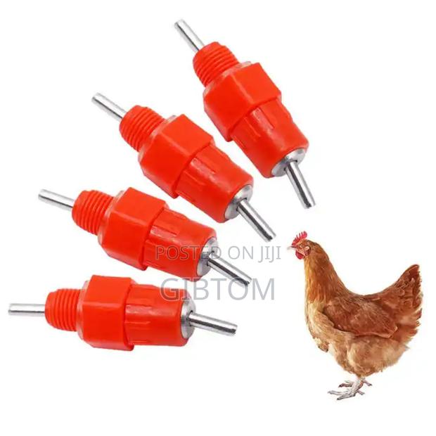 Chicken Nipples - thumbnail 2