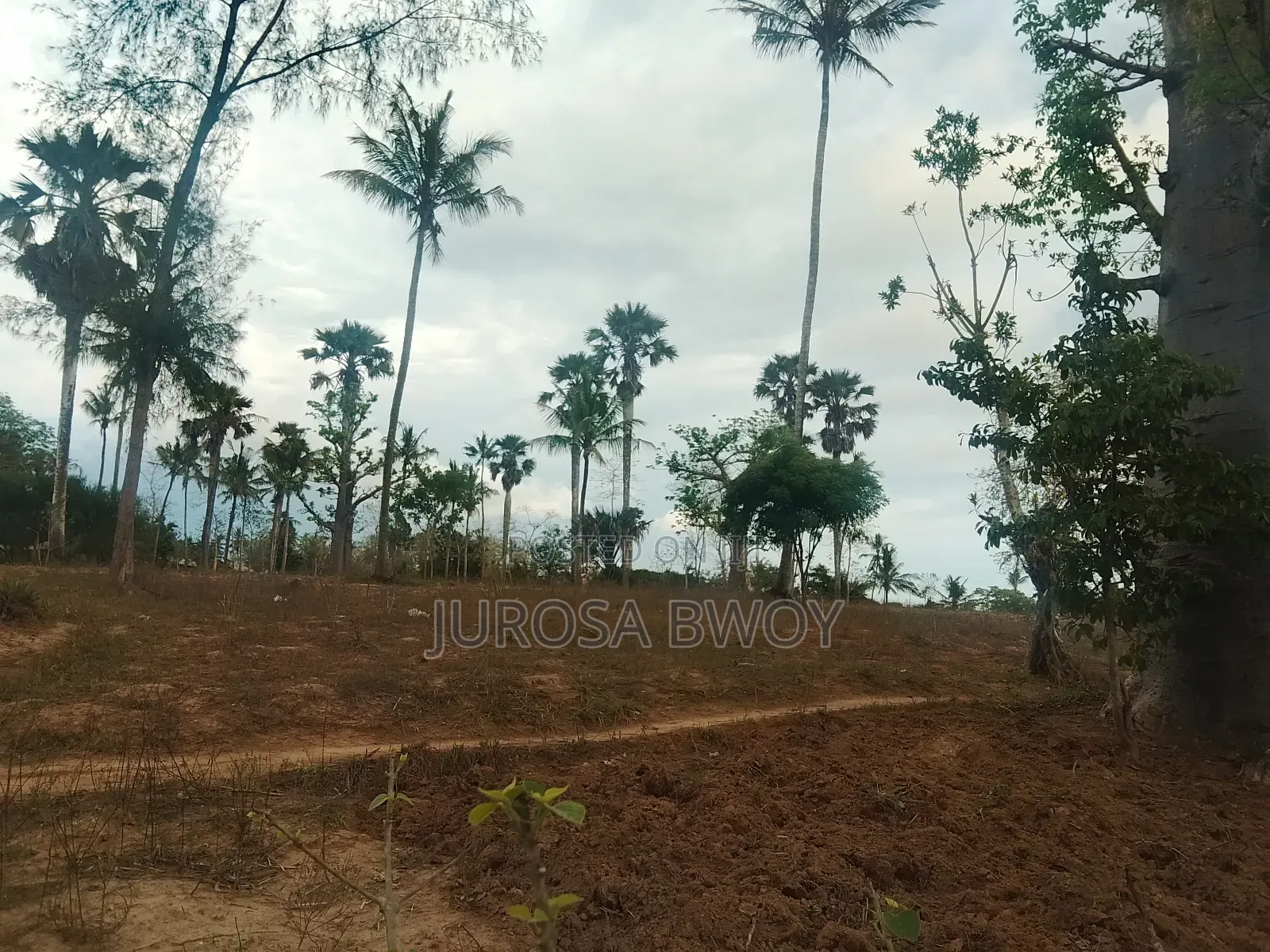Plot for Sale