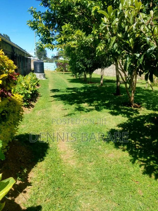 1bdrm Bedsitter in Annex, Racecourse for rent