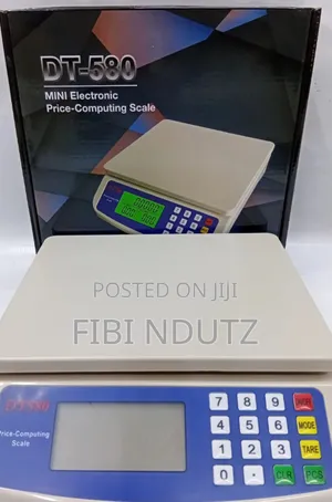 Dt580 Mini Electronic-Computing Scale/Computing Scale