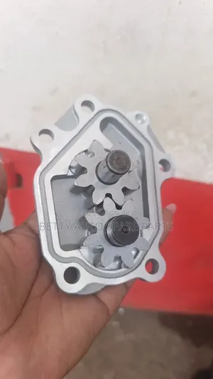 Nissan Qd32 Oil Pump