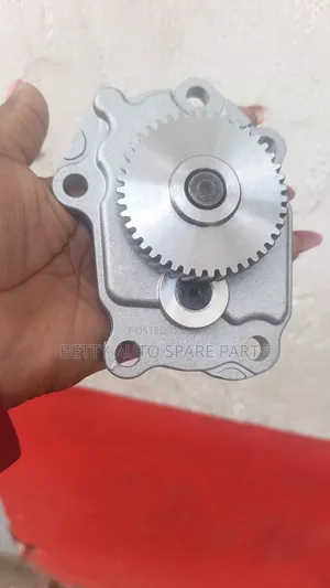 Nissan Qd32 Oil Pump