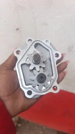 Nissan Qd32 Oil Pump