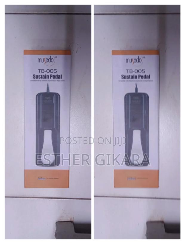 Keyboard Sustain Pedal. - main view