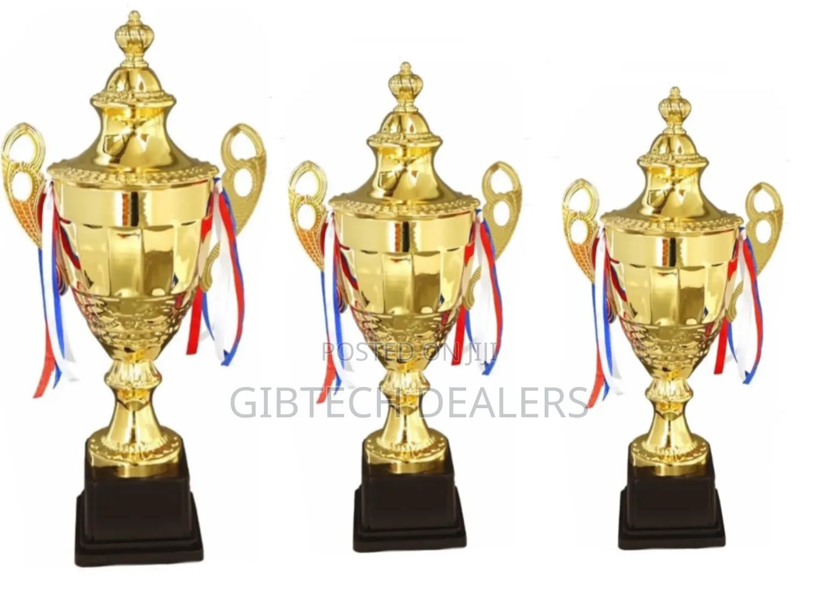 Big Size 56cm 2410 Trophy