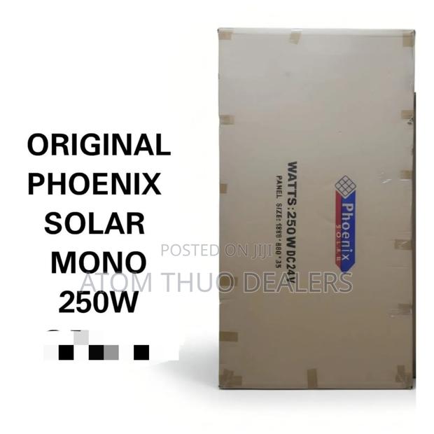 Original Phoenix Solar Mono 250w - main view