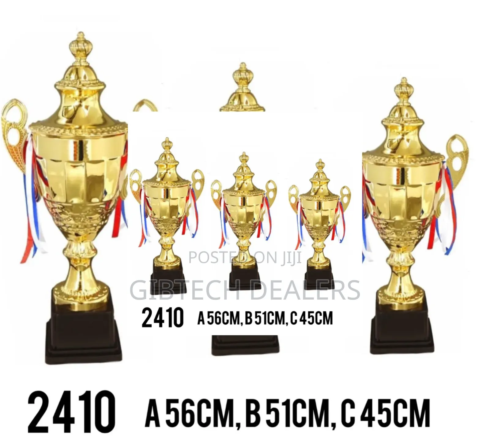 Trophy 51cm 2410 Medium Size