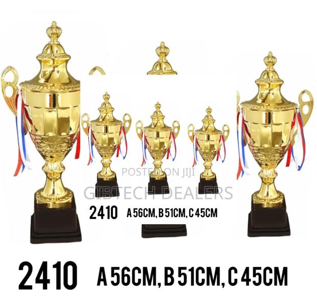 Medium Size 51cm 2410 Trophy - main view