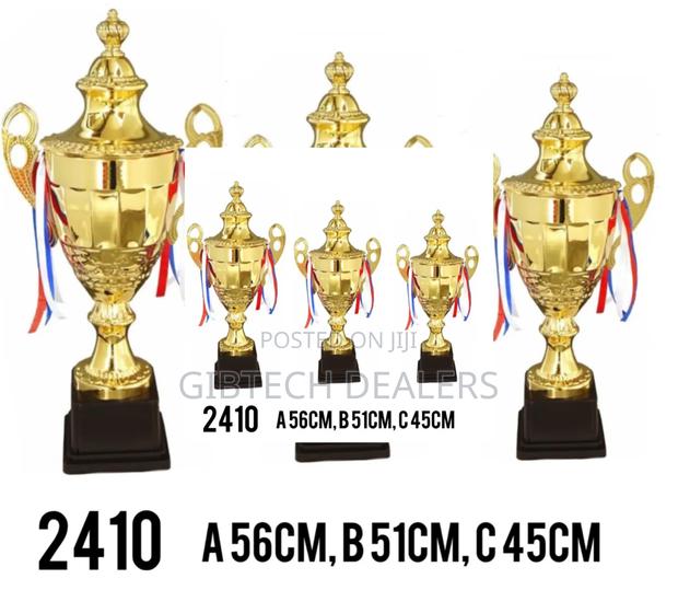 Medium Size 51cm 2410 Trophy - thumbnail 2
