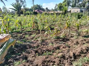 75 by 100 Plot Kwa Mathore Shopping Center