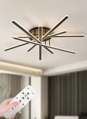 Flush Mount Ceiling Light