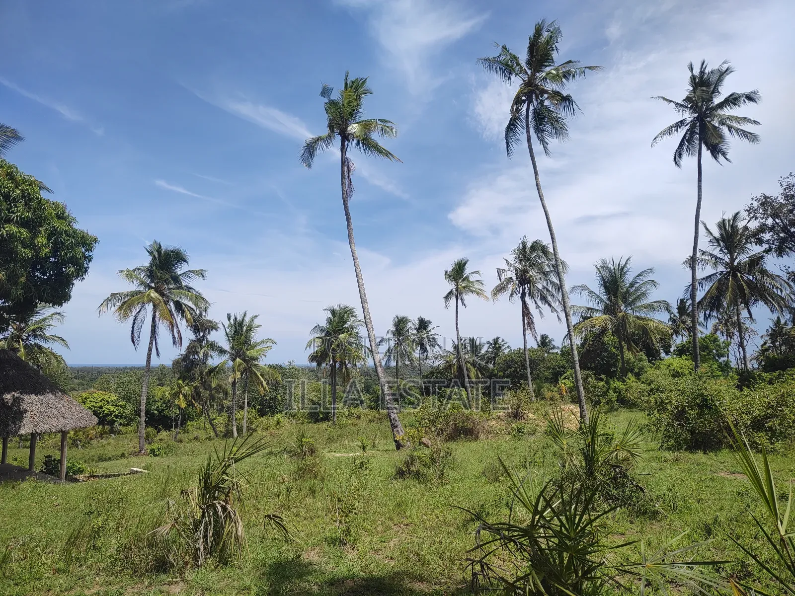 Uninterrupted Panoramic Ocean View Plot