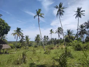 Uninterrupted Panoramic Ocean View Plot