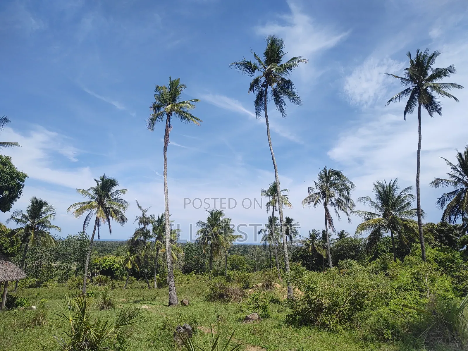 Uninterrupted Panoramic Ocean View Plot