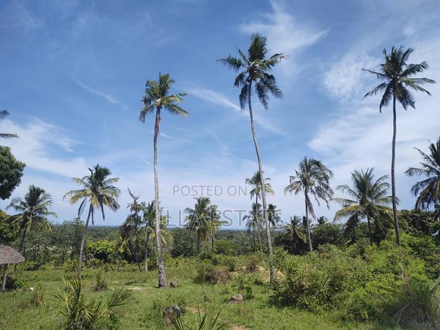 Uninterrupted Panoramic Ocean View Plot - thumbnail 10