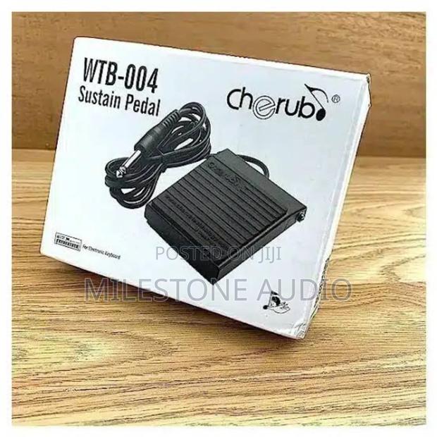 Cherub Sustain Pedal (Wtb-004)