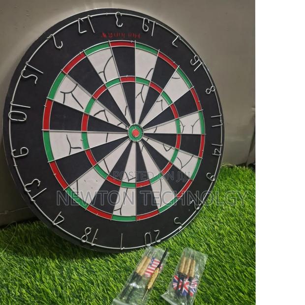 Proffessinal Dart Board at Restocked