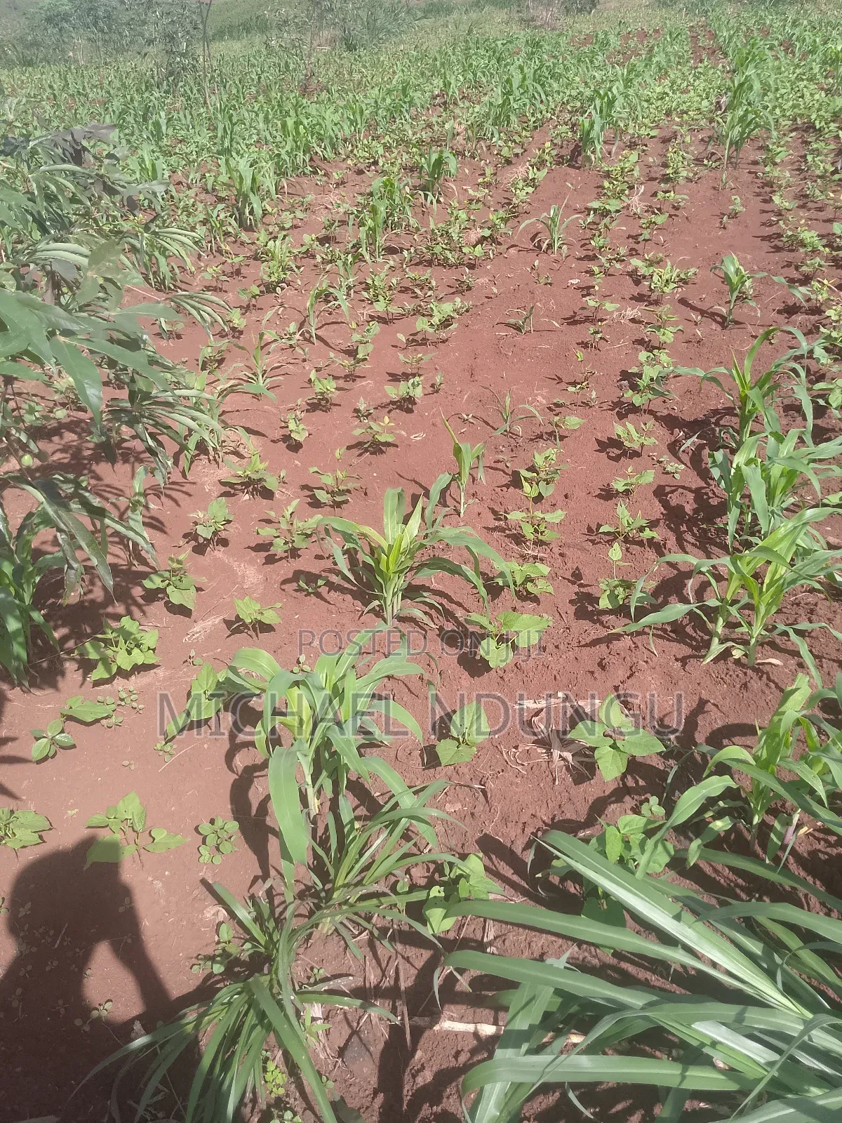 Malindi Lands for Sale