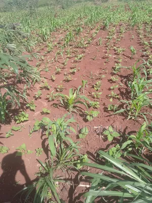 Malindi Lands for Sale